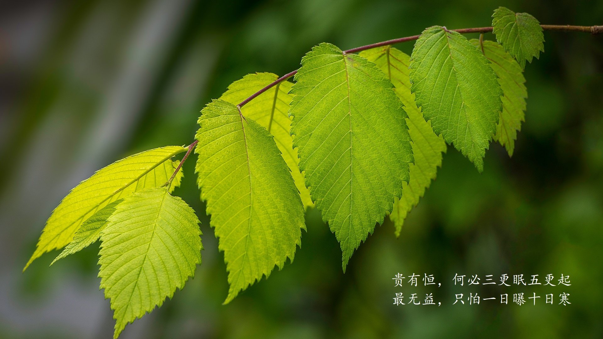 爱游戏在线登录入口-“法甲劲旅团结一致，场面激烈追逐积分”，法甲哪些俱乐部厉害