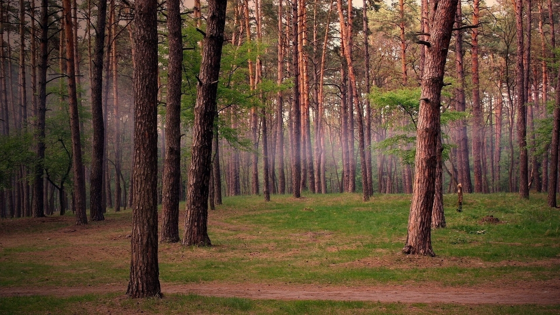 爱游戏体育app-“穿越山谷：沿途风景中的激烈对决”，穿越山谷 歌曲