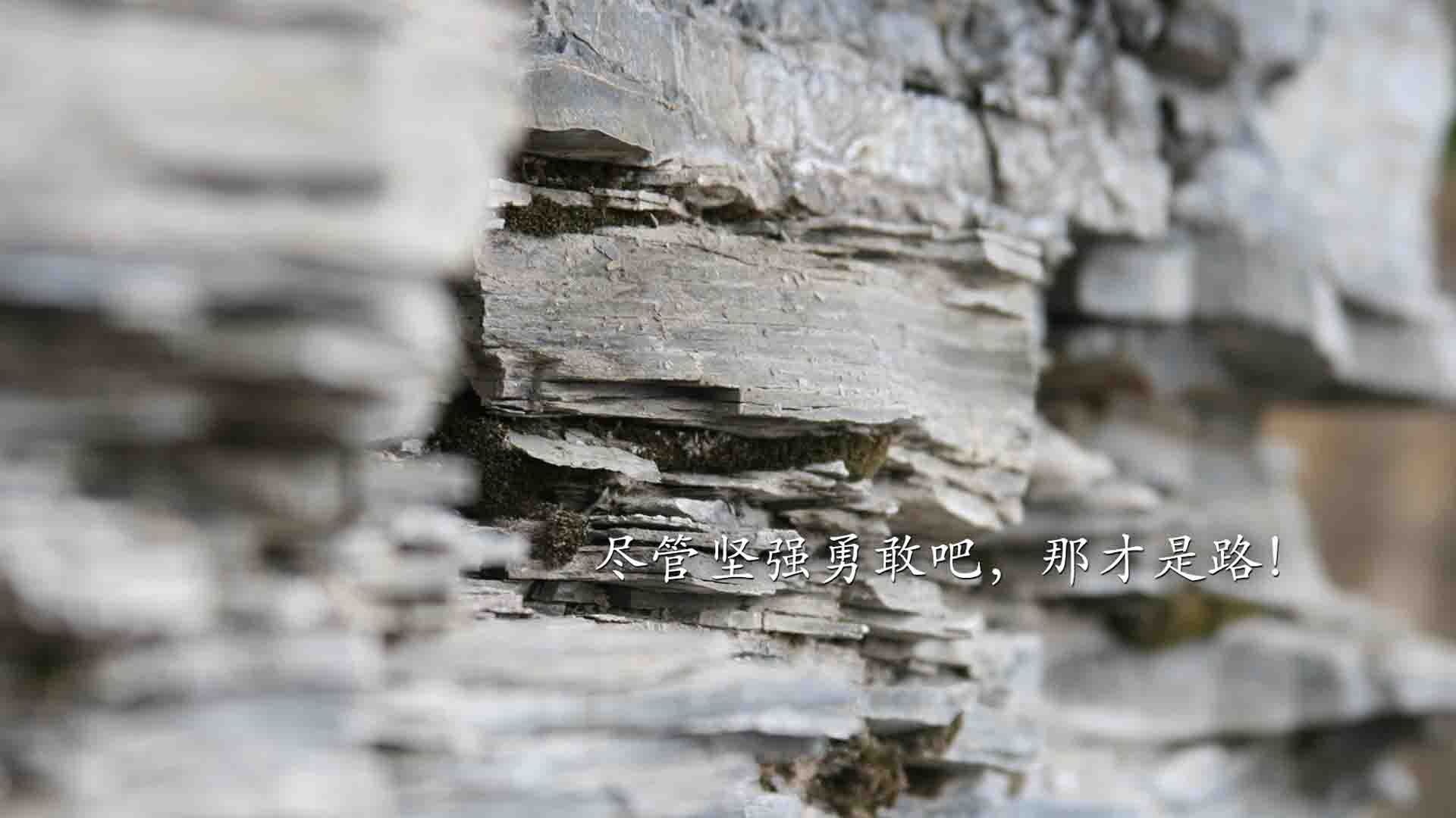 爱游戏下载-“青少年足球校园比赛覆盖面加大，普及全民体育”，2021年全国青少年校园足球比赛