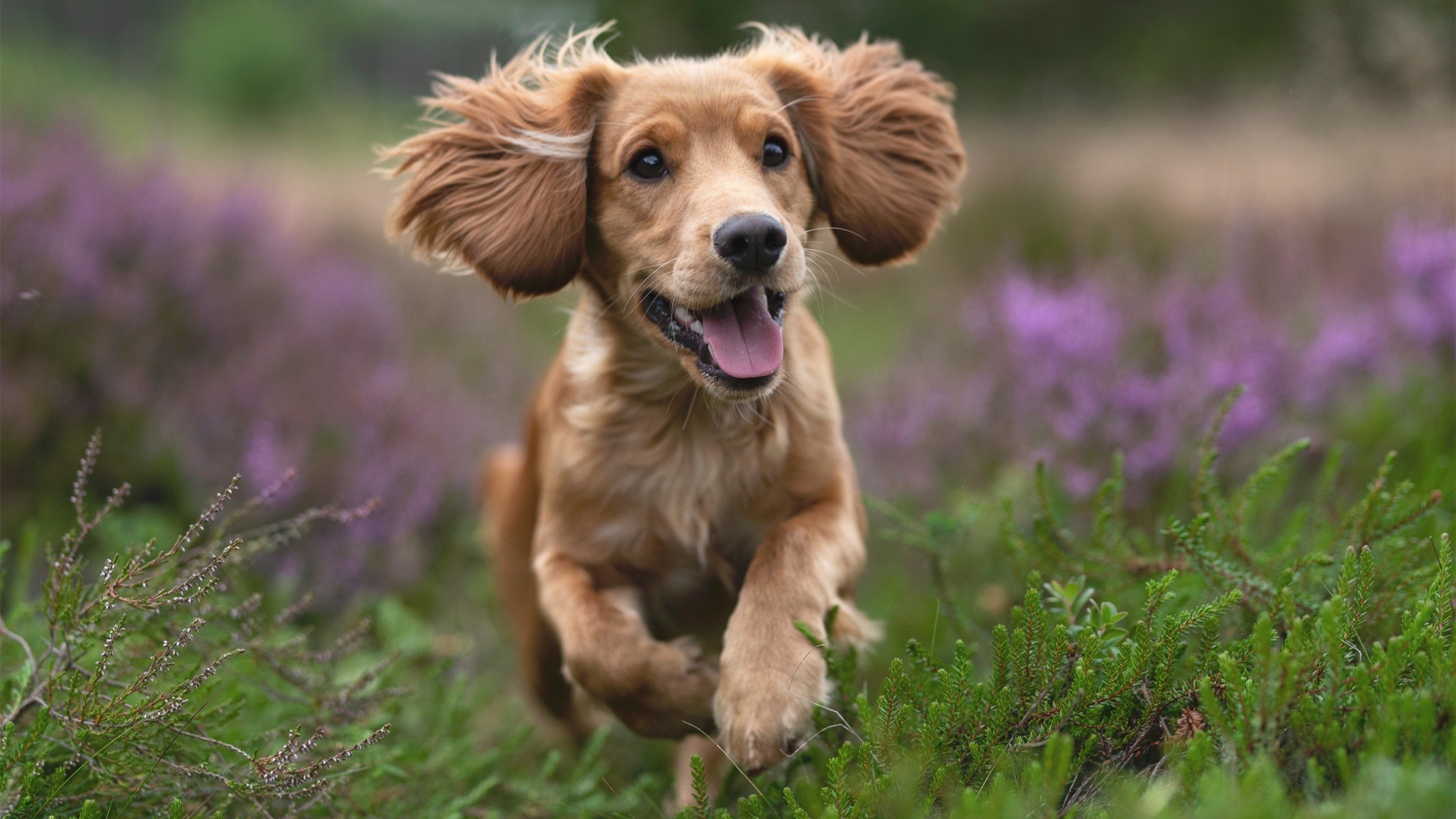 爱游戏体育平台-CBA球队深化分析系统提升备战效率，cba推荐cba分析