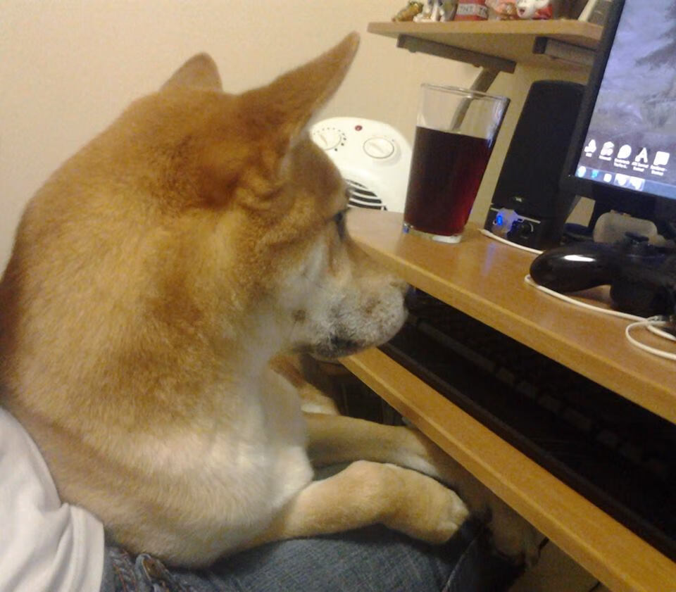 爱游戏中国官方登录入口网站-体育新闻中心发布体育数字传播新趋势白皮书，体育数字化转型