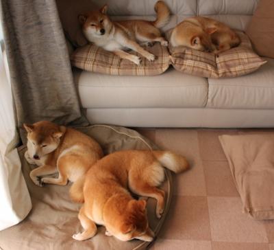 体育新闻中心构建跨平台体育内容协同系统,体育媒体平台