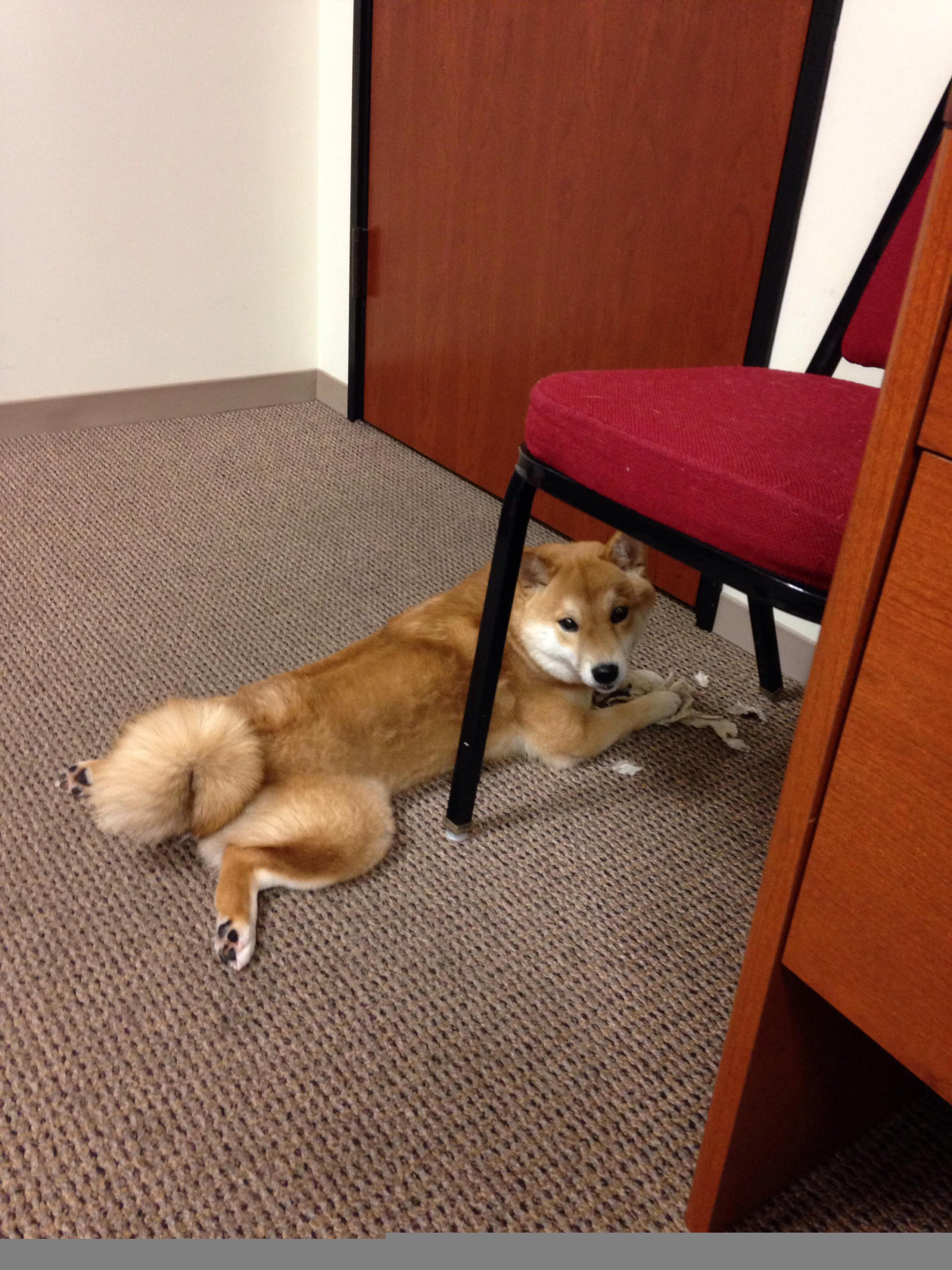 爱游戏体育（AYX）官方APP下载-马赛中前场多点爆发持续推进攻势，马赛首发