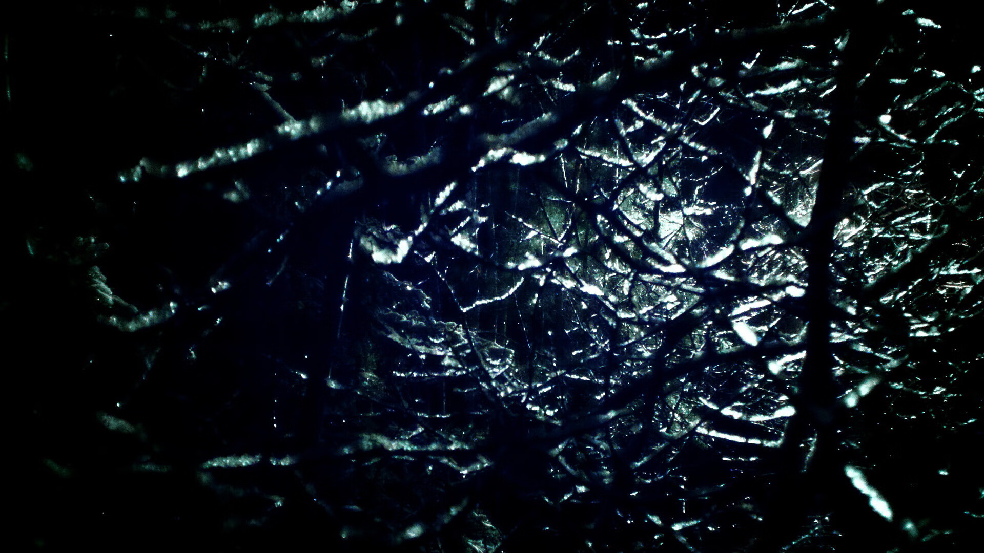 塞内加尔男篮在非洲锦标赛中展现实力,期待新突破,塞内加尔非洲杯大名单