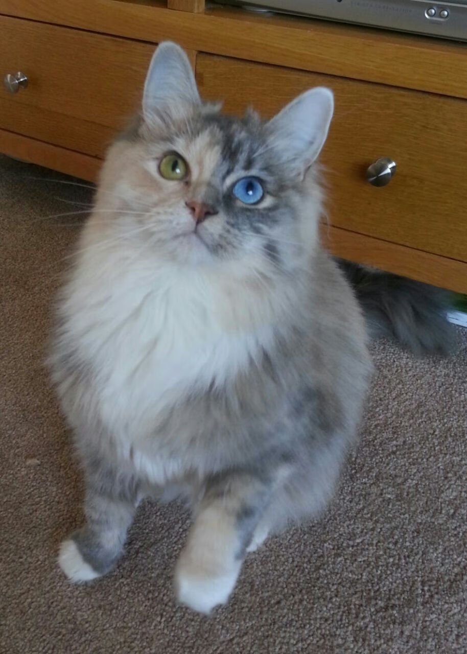 巴雷特:凭借精确的传球和灵活的突破成为全黑队的攻击核心,巴雷特集锦