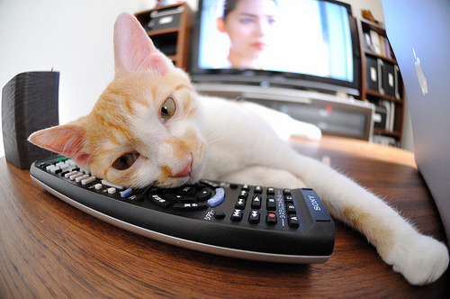 德甲决胜瞬间：关键时刻的奇迹进球，德甲的比赛