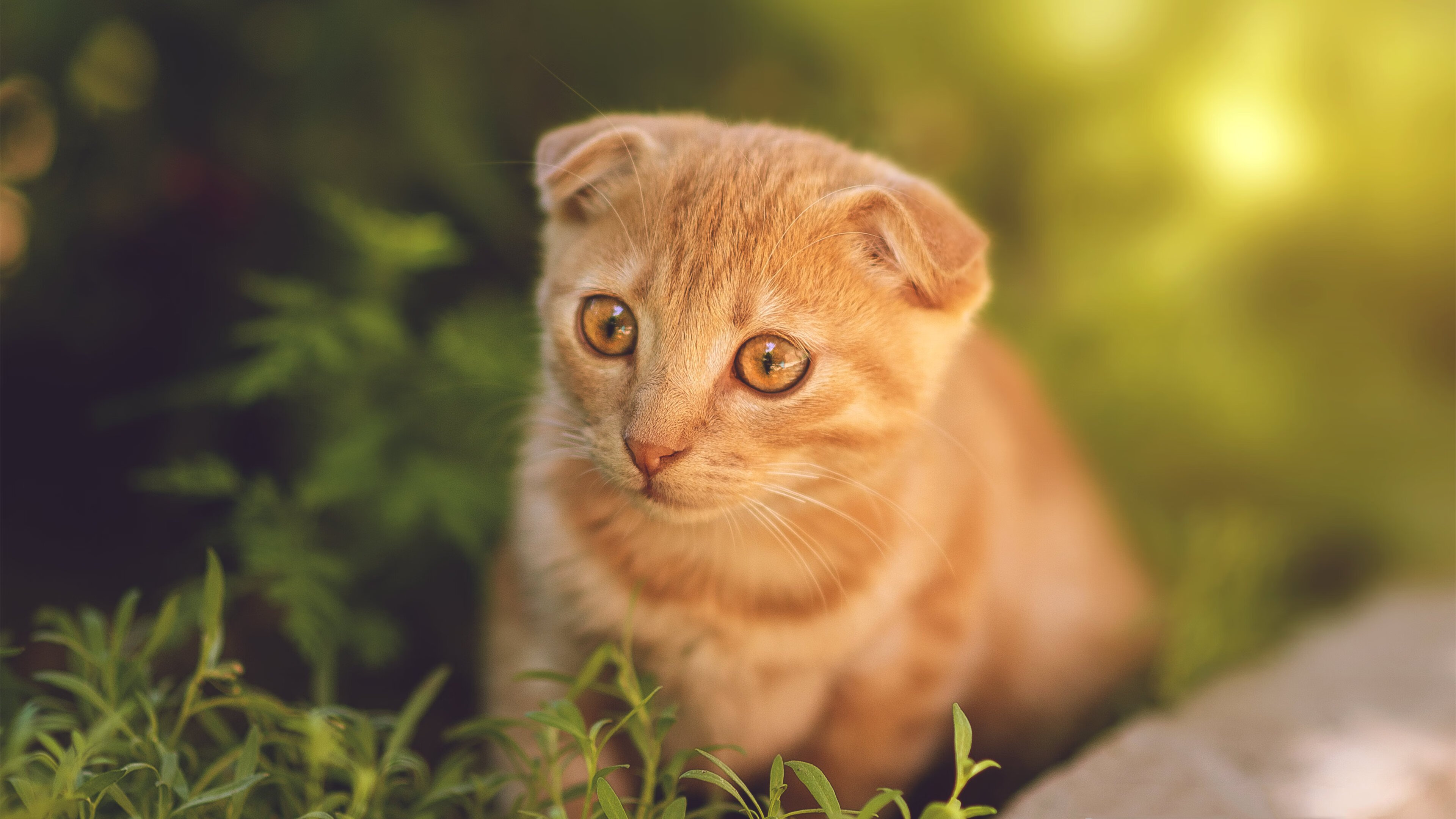 欧洲杯精彩瞬间：队长PK明星百变战术，欧洲杯各国队长