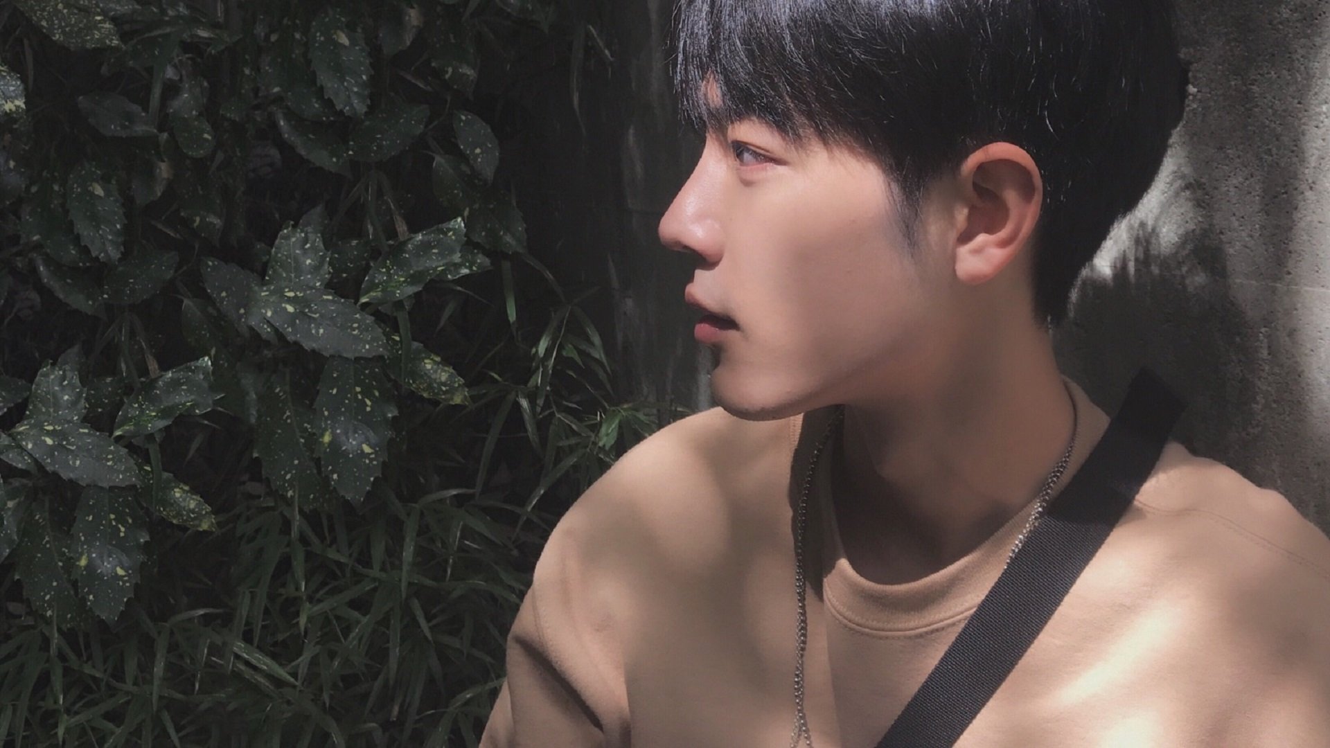 荷兰队在欧洲预赛中展现强大实力，荣誉在望