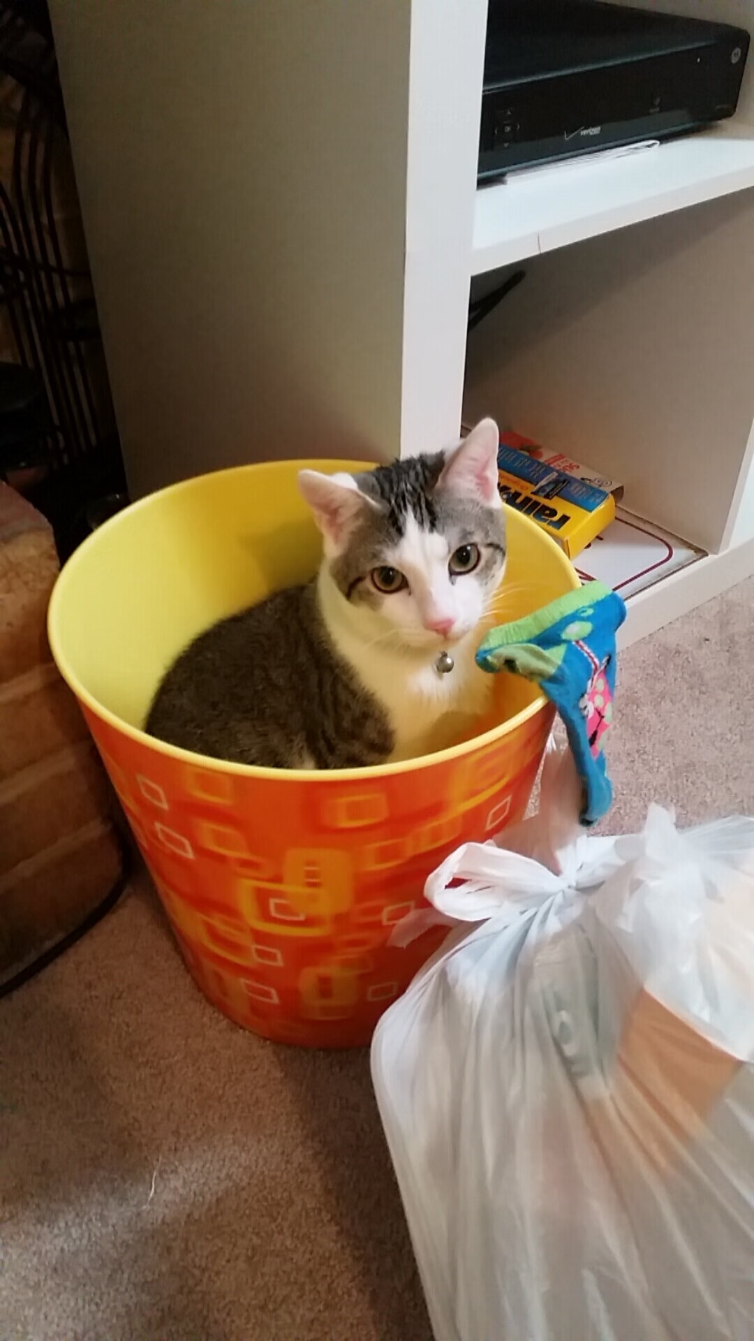 爱游戏官方网站-训练中心设立技能评比日强化球员间良性竞争氛围，技能训练方案怎么写